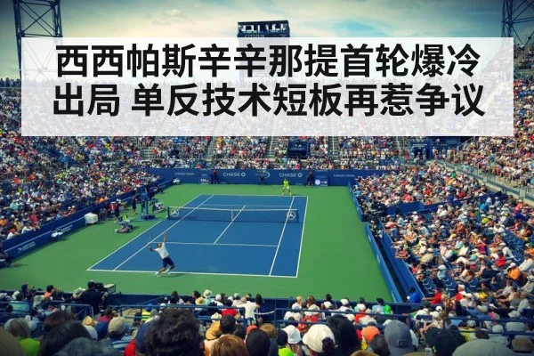 professional tennis match