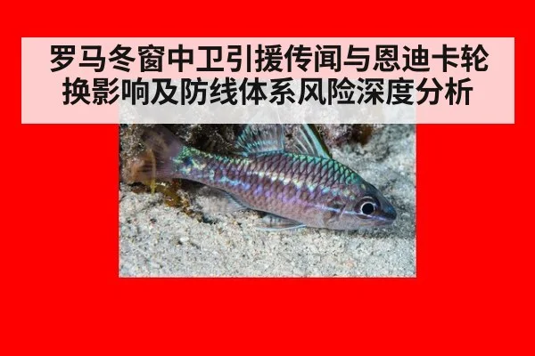 罗马冬窗中卫引援传闻与恩迪卡轮换影响及防线体系风险深度分析